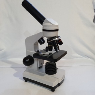 Логотип @underamicroscopebg - 🔬Всичко под Микроскоп / Microscope