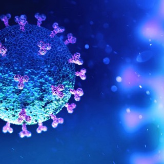 Логотип @undiscoveredcovidtruth - Undiscovered Covid Truth