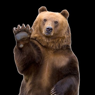 Логотип @unerklaerbaer - 🐾UnerklärBär🐾