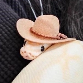 Логотип @unfunny - snek chanel