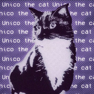Логотип @unico_cat - The Unico Cat!