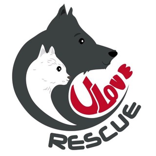 Логотип @unitedloverescue - United Love