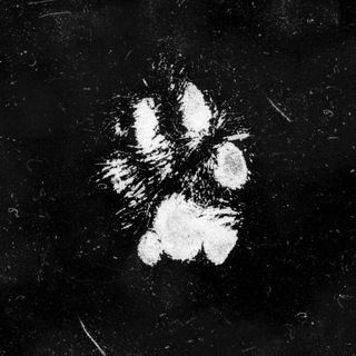 Логотип @unitedwildanimals - united wild animals
