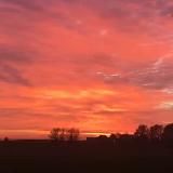 Логотип @unity_asset_free - Unity Asset free