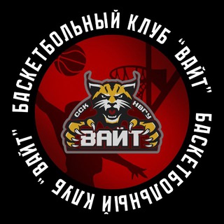 Логотип @university_bc_vait - БК «ВАЙТ» | НВГУ