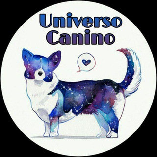 Логотип @universocanino - Uᥒιvᥱrso Cᥲᥒιᥒo 🐕