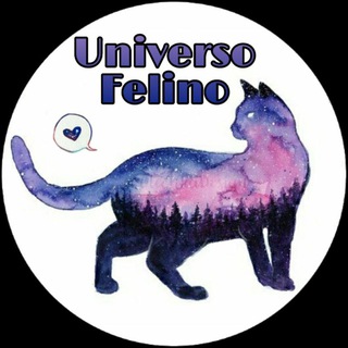 Логотип @universofelino - Uᥒιvᥱrso Fᥱᥣιᥒo 🐈