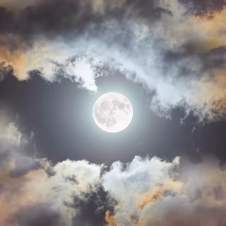 Логотип @universumnews - Universum Inside