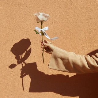 Логотип @unsuzduba - 🌾Үнсүз дуа