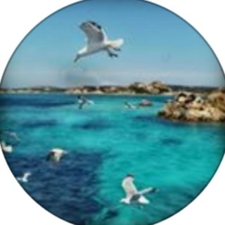 Логотип @untipical_tourists - Нетипичные туристы 🌍