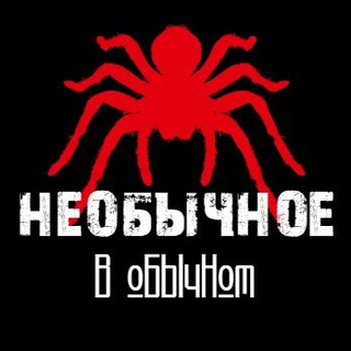 Логотип @unusual_in - Необычное в Обычном...