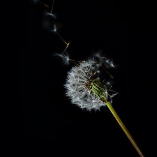 Логотип @unusualblog - unusual
