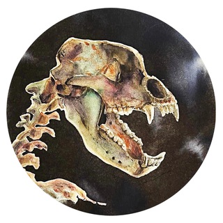 Логотип @ural_cave_bear - Cave Bear Ural (Уральский пещерный медведь)