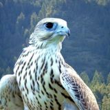 Логотип @ural_discovery - Урал. Дискавери.