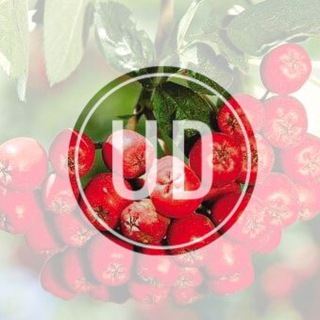 Логотип @uraldub - Уральская дубинушка