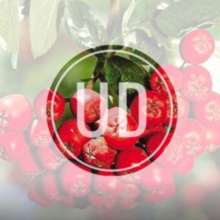 Логотип @uraldub_c - Дубинушка, ухнем!