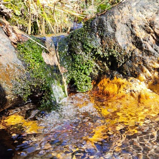 Логотип @uralfree1 - Соль в чате