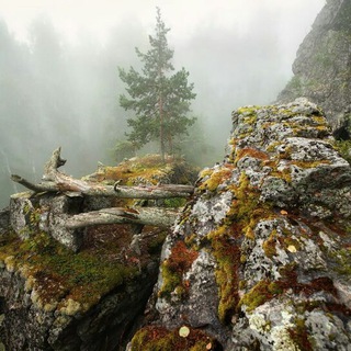 Логотип @uralhural - Урал-Хурал