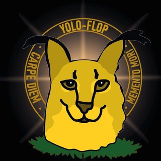 Логотип @urapidor - YOLO-FLOP