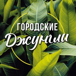 Логотип @urban_jungle_shop - Городские Джунгли // Комнатные растения // Urban-Jungle.Shop