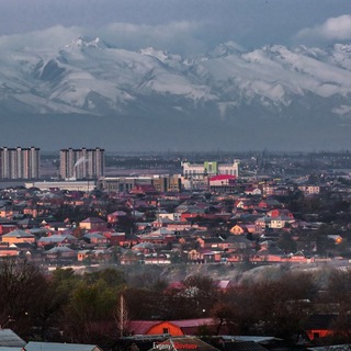 Логотип @urusmartan_polit - Урус-Мартан | Политика | Новости