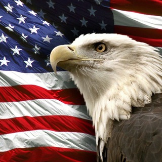 Логотип @usa_legal - Дмитрий Найдин | В США Легально 🇺🇸