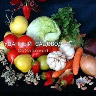 Логотип @usadovod - УДАЧНЫЙ САДОВОД🌾