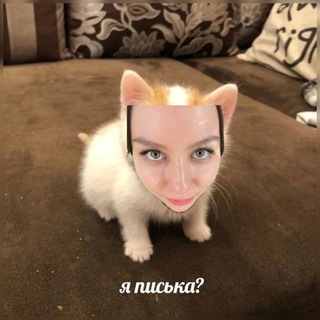 Логотип @usaturday - Вечер Субботы