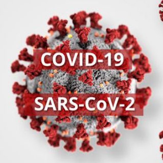Логотип @uscorona - Coronavirus Discussion