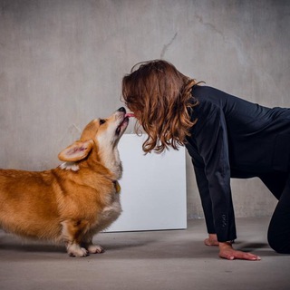 Логотип @ushi_ego - Чокнутый собачник