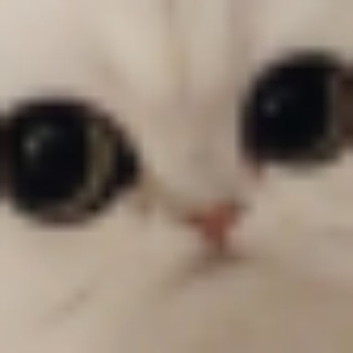 Логотип @uslessveedoseekee - бесполезыне комменты