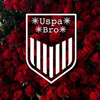 Логотип @uspa_bro1 - USPA BRO