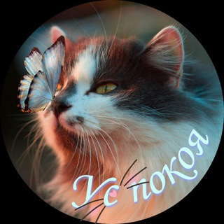Логотип @uspokoya - Ус покоя🐱