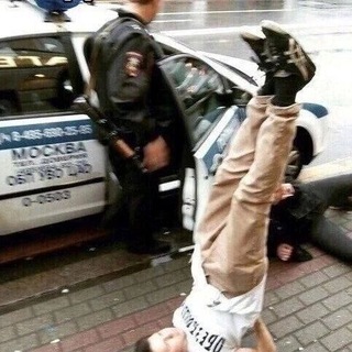 Логотип @utini_lapki - утиные лапки