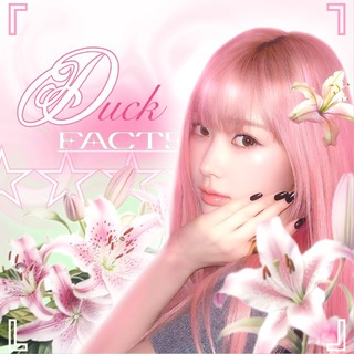 Логотип @utkfacts - утиные факты