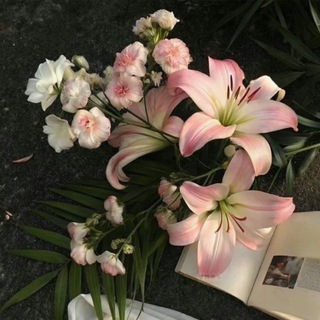 Логотип @utoonul - june