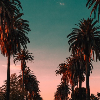 Логотип @utrohbk - Новости Хабаровска