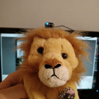 Логотип @utyrka - Синусоида енота (Ваганыч)