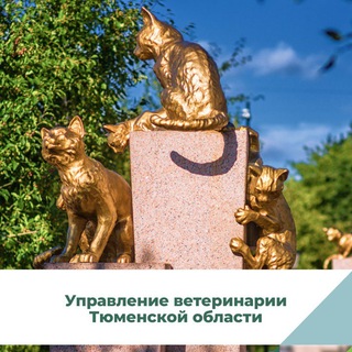 Логотип @uvetto - Управление ветеринарии Тюменской области