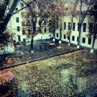 Логотип @uwedsb - UWED Student Board