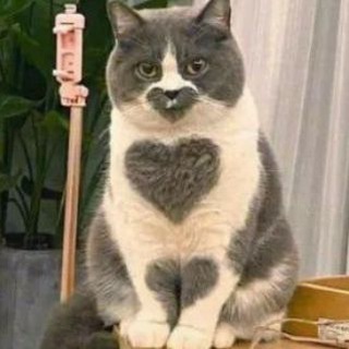 Логотип @uwuloveyou - яблоки с корицей🍂