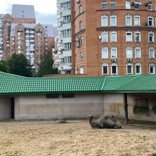 Логотип @uzalen_urban - Ужаленные урбанистикой