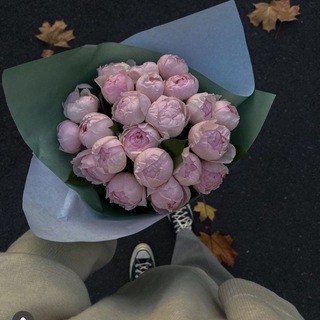 Логотип @uzb701b - мали🐾