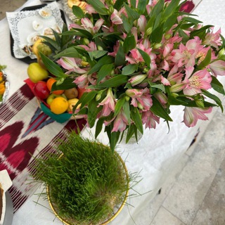 Логотип @uzbbenelux - Uzbekistan, EU and Beyond