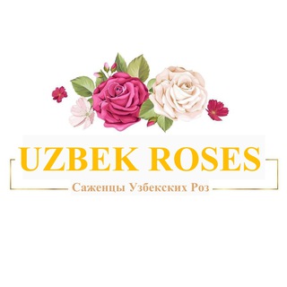 Логотип @uzbek_roses - Саженцы Узбекских Роз🌹