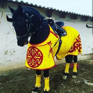 Логотип @uzbekistonotlari - Uzbekiston otlari👈