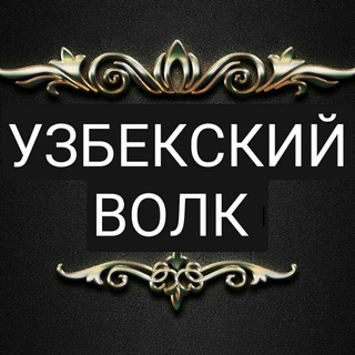 Логотип @uzbekskiy_volk - УЗБЕКСКИЙ ВОЛК