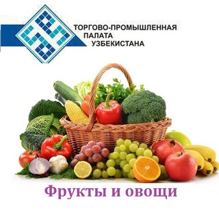 Логотип @uzchamber_frvg - Мева-сабзавот етиштирувчи ва экспортерлари гуруҳи (Производители и экспортеры фруктов и овощей)