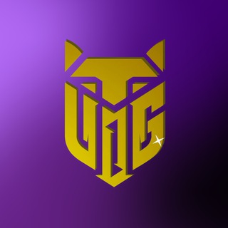 Логотип @v1dar_gaming - V1dar Gaming | CS 2