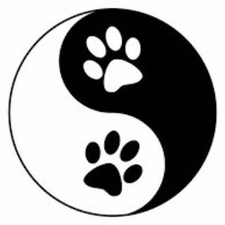 Логотип @v_mire_givotnih_vmg - В мире животных🐾